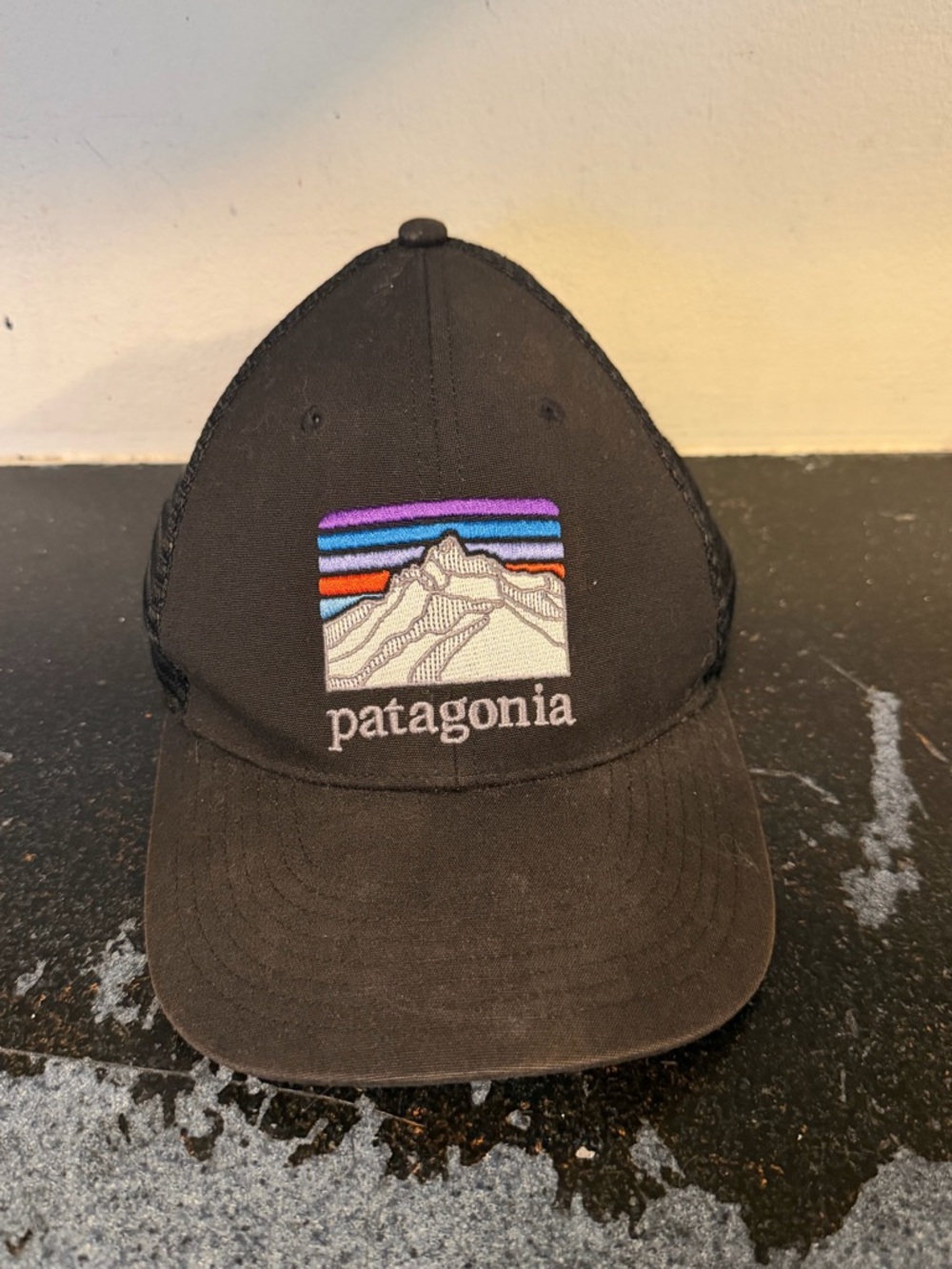 Patagonia Line Logo Ridge LoPro Trucker Embroidered Hat Snap Back